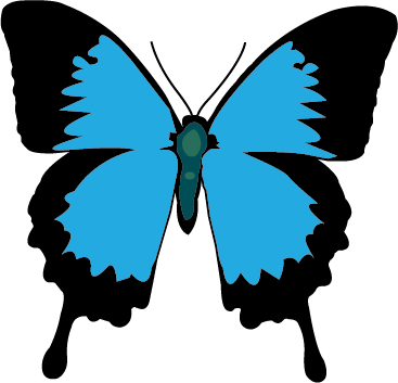 Mariposa