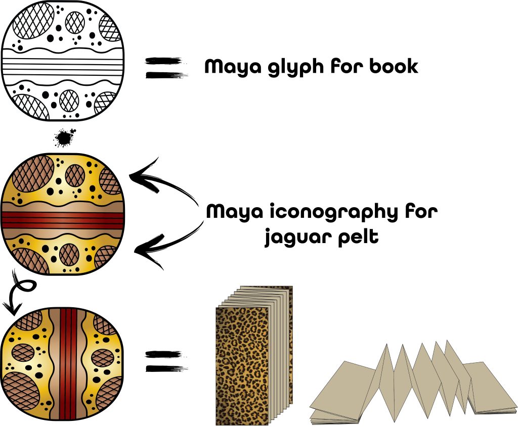 A diagram showing how the Maya glyph for book has Maya iconography for jaguar pelt around horizontal lines that represent paper. This suggests that the covers of Maya books were made of jaguar pelts.