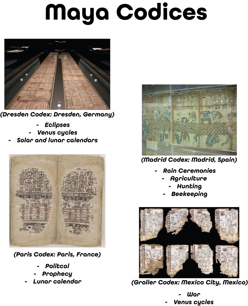 A collage of different Mayan codices stored around the world. Included are: The Dresden Codex housed in Dresden, Germany that contains information about eclipses; venus cycles; and solar and lunar calendars, The Madrid Codex housed in Madrid, Spain which contains information about rain ceremonies; agriculture; hunting; and beekeeping, The Paris Codex housed in Paris, France that contains information about politics; prophecy; and lunar calendars, and the Grolier Codex housed in Mexico City, Mexico which contains information about wars and venus cycles.