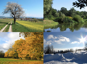 Season