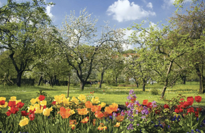 Spring