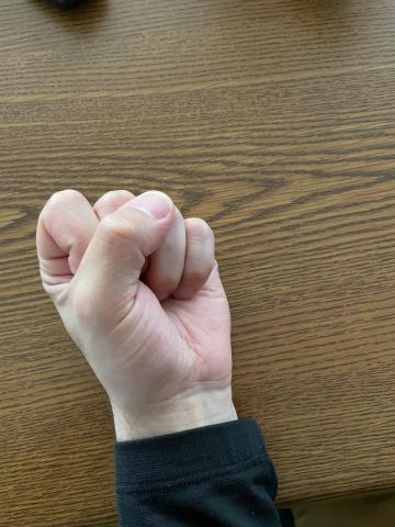 Fist